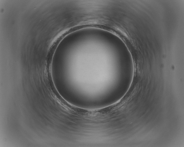 X0000073431452200607281139