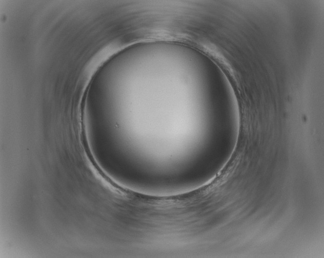 X0000073431479200607281139