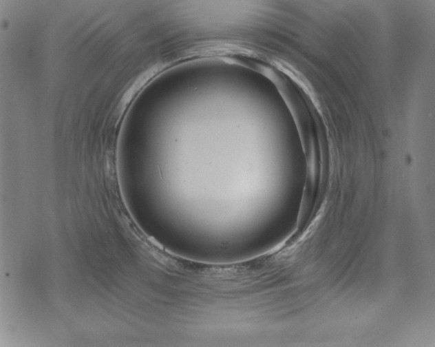 X0000073431481200607281139