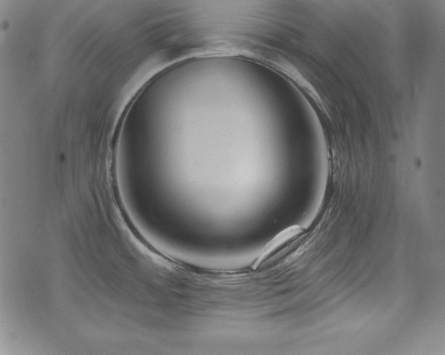 X0000073431484200607281139