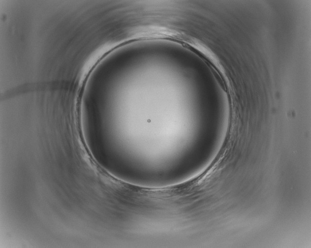 X0000073431488200607281138