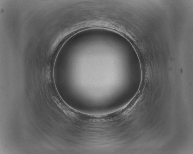 X0000073431499200607281138