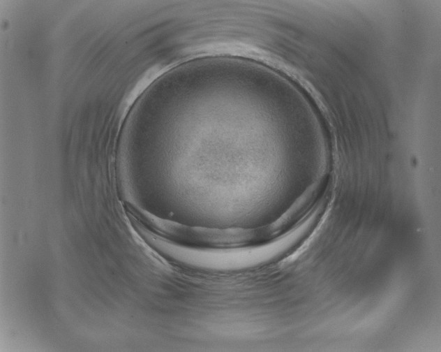 X0000073431529200607281138