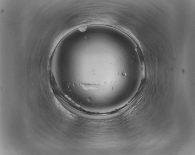 X0000073431532200607281138