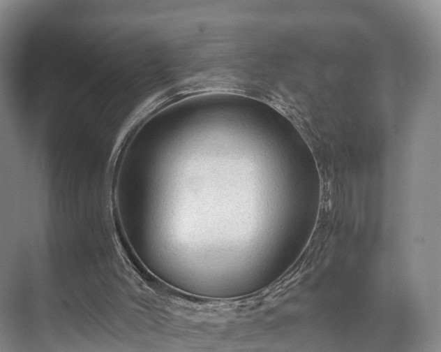 X0000073430004200608041102