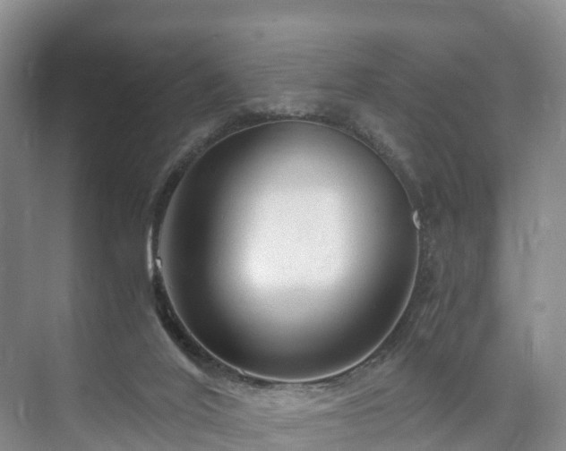 X0000073430020200608041102