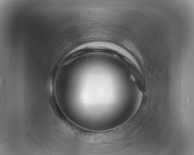 X0000073430021200608041102