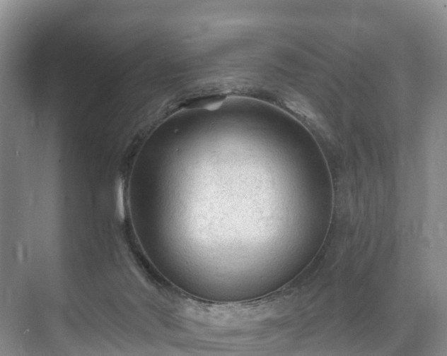 X0000073430022200608041102