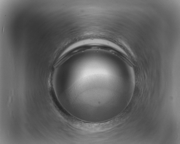X0000073430023200608041102