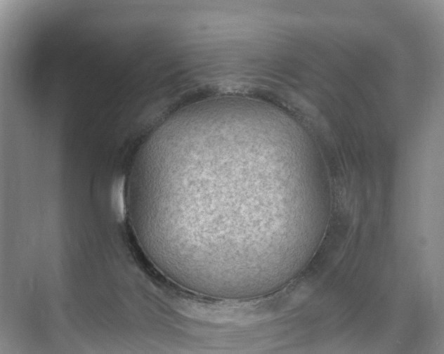 X0000073430028200608041102