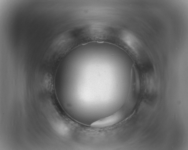 X0000073430029200608041102