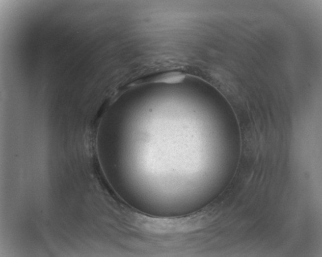 X0000073430034200608041102