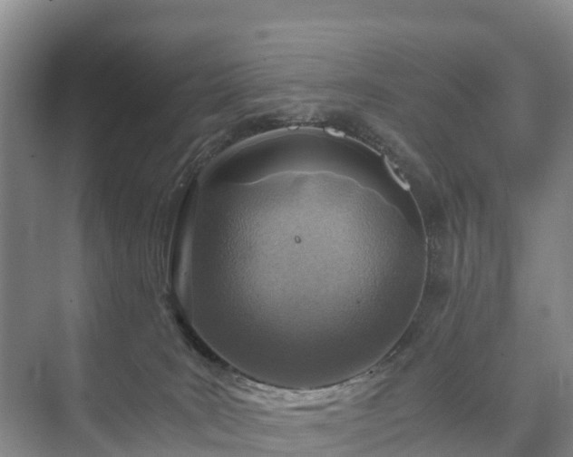 X0000073430035200608041101