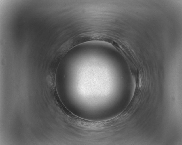 X0000073430044200608041101