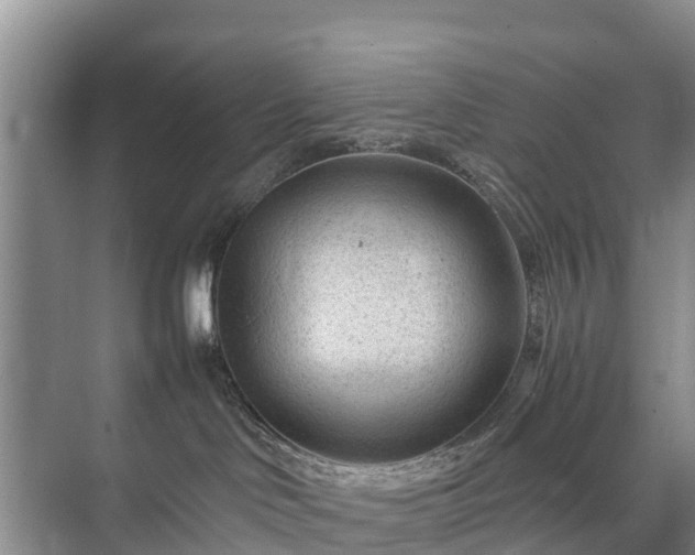 X0000073430046200608041101