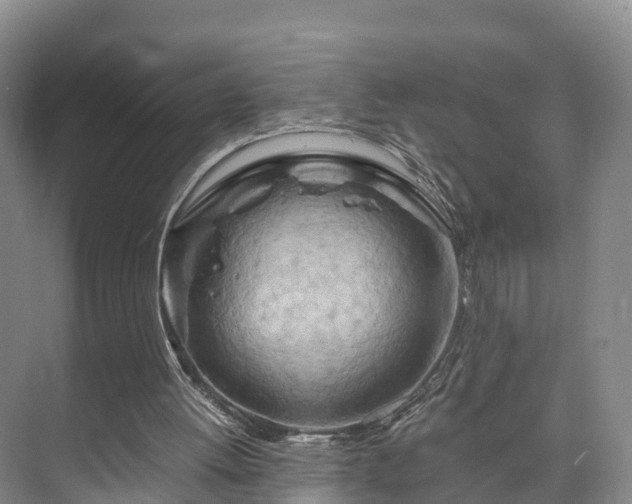 X0000073430052200608041101