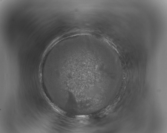 X0000073430053200608041101