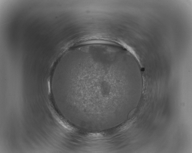 X0000073430061200608041101