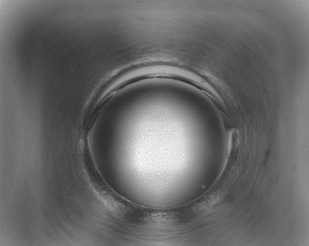 X0000073430064200608041101