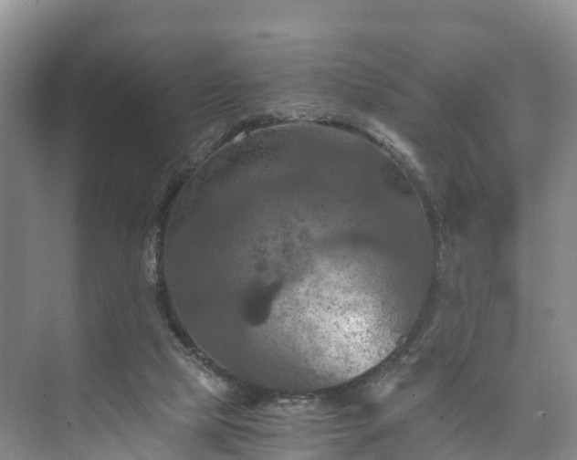 X0000073430065200608041101