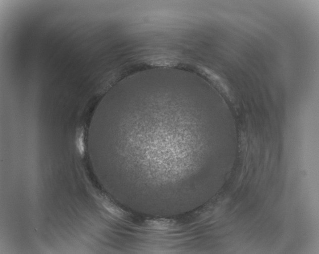 X0000073430069200608041101