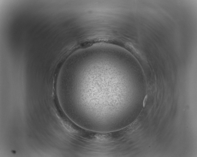 X0000073430070200608041101