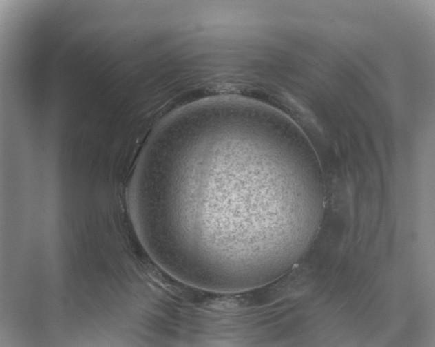 X0000073430075200608041101