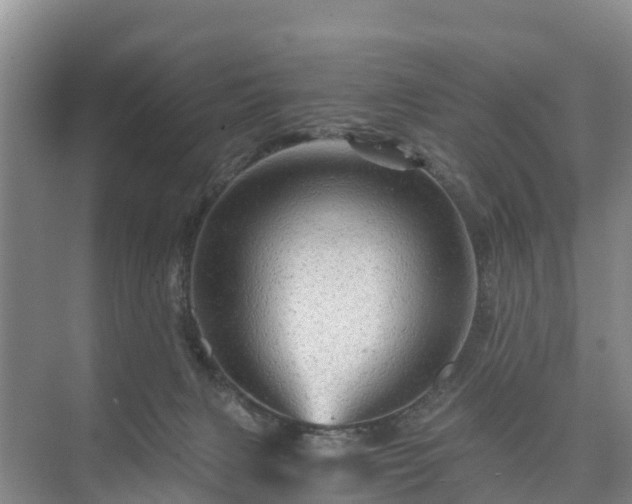 X0000073430079200608041101