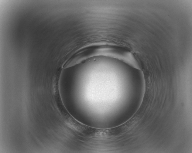 X0000073430080200608041101