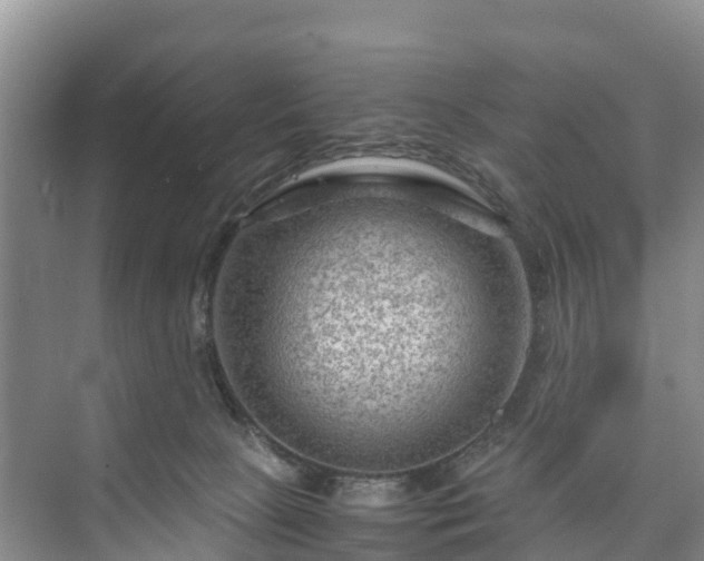 X0000073430081200608041101