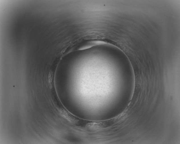 X0000073430082200608041101