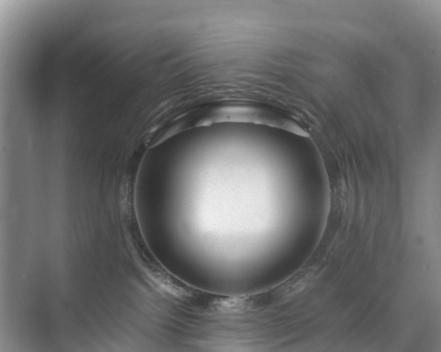 X0000073430092200608041101