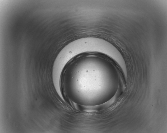 X0000073430096200608041101