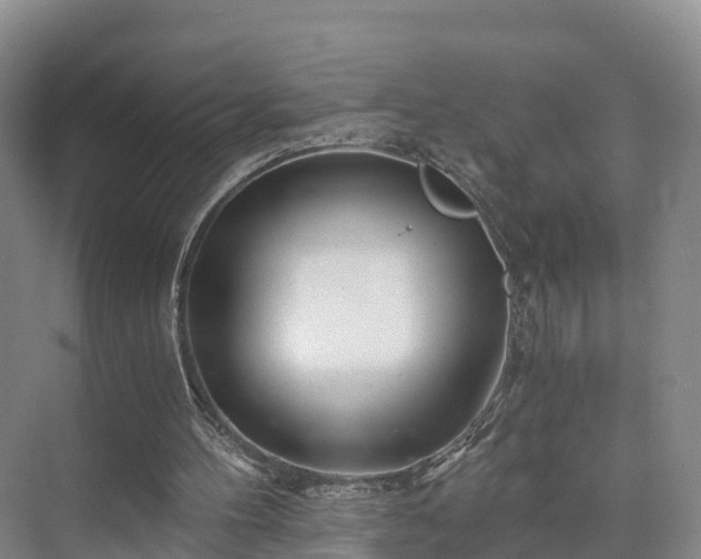 X0000073430100200608041100