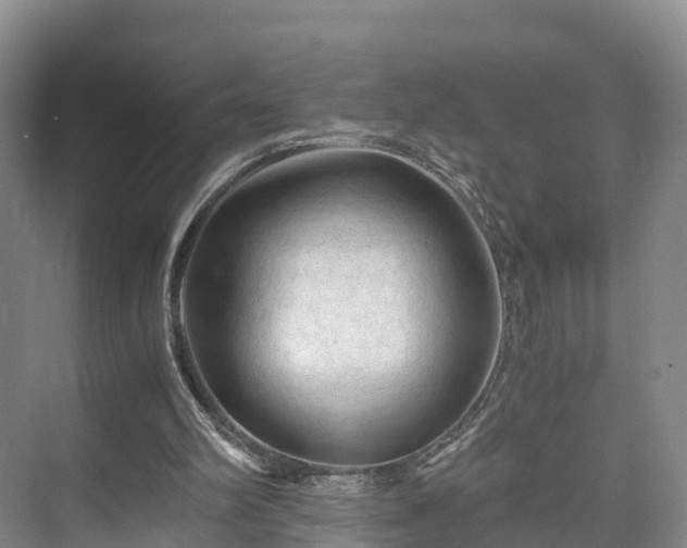 X0000073430102200608041100