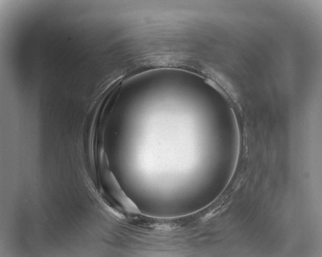 X0000073430105200608041100
