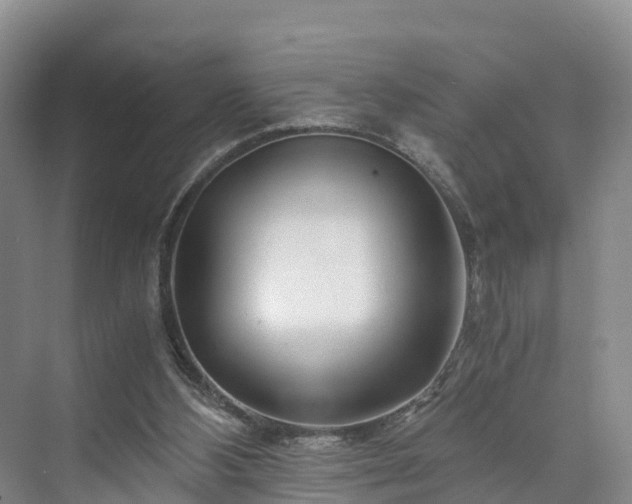 X0000073430108200608041100
