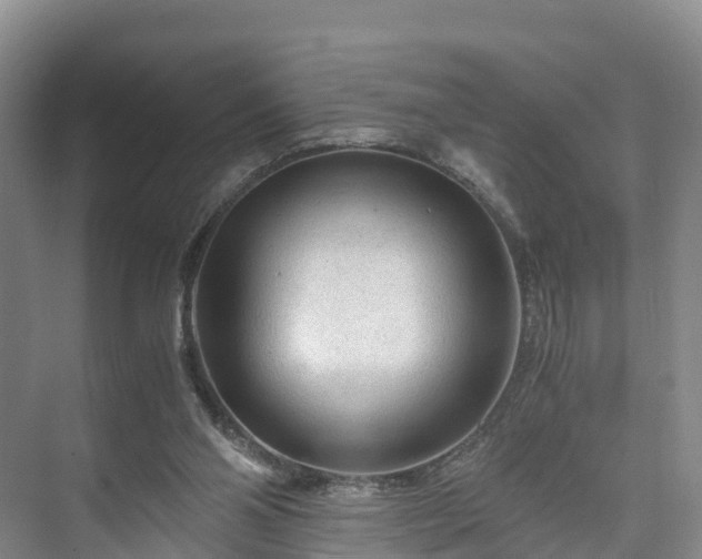 X0000073430110200608041100