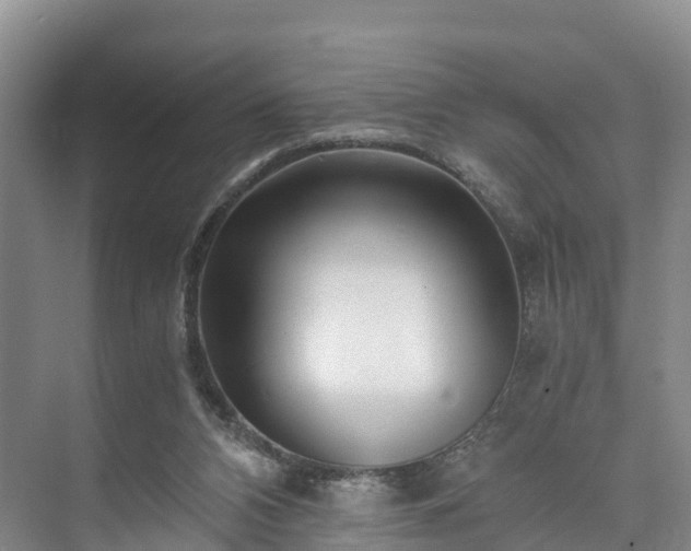 X0000073430112200608041100