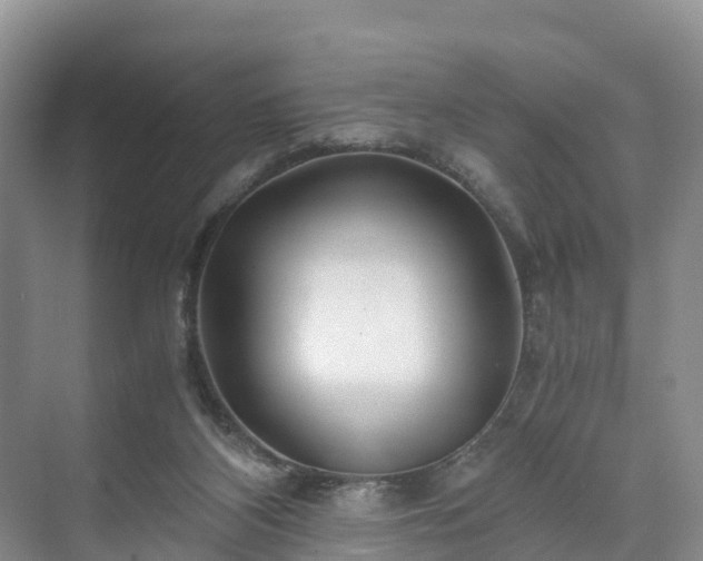 X0000073430116200608041100