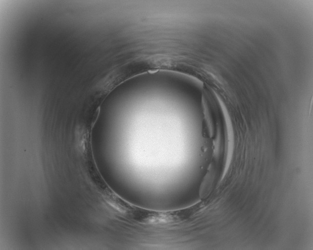 X0000073430125200608041100
