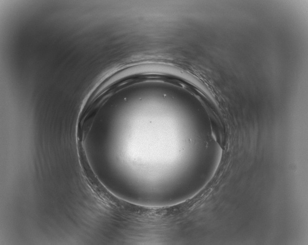 X0000073430148200608041059