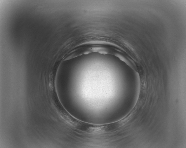X0000073430170200608041059