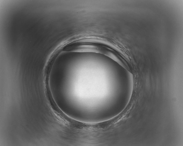 X0000073430197200608041059
