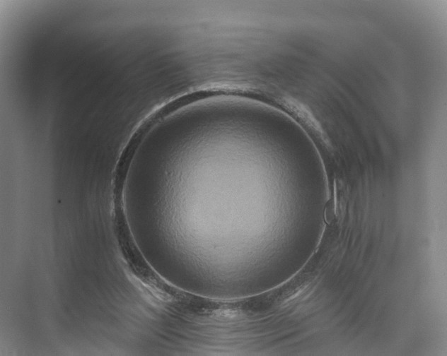 X0000073430204200608041059