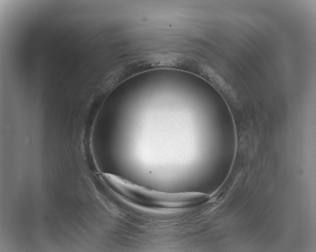 X0000073430209200608041059
