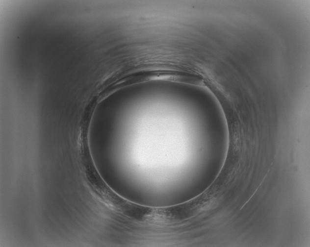 X0000073430211200608041059