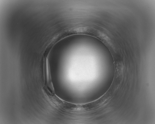 X0000073430212200608041059