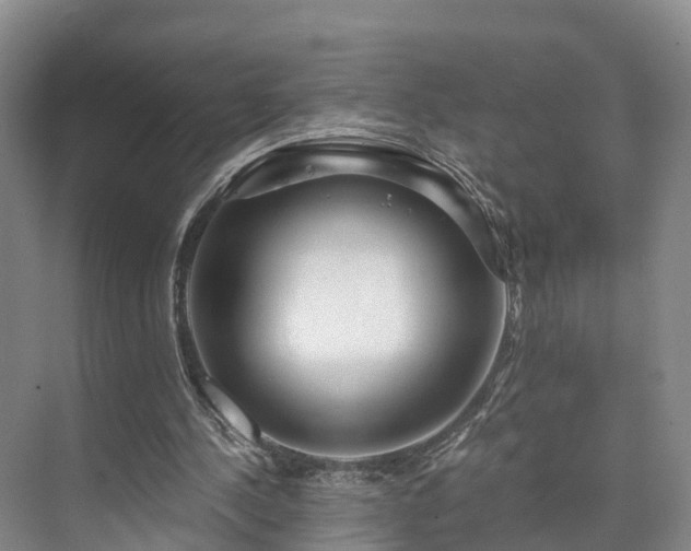 X0000073430244200608041057