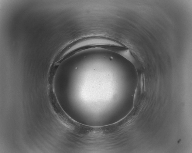 X0000073430252200608041057